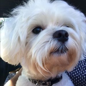 Meet your Posher, Susan